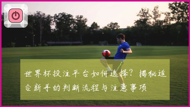 世界杯投注平台如何选择？揭秘适合新手的判断流程与注意事项
