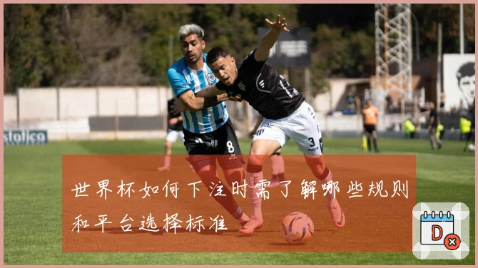 世界杯如何下注时需了解哪些规则和平台选择标准