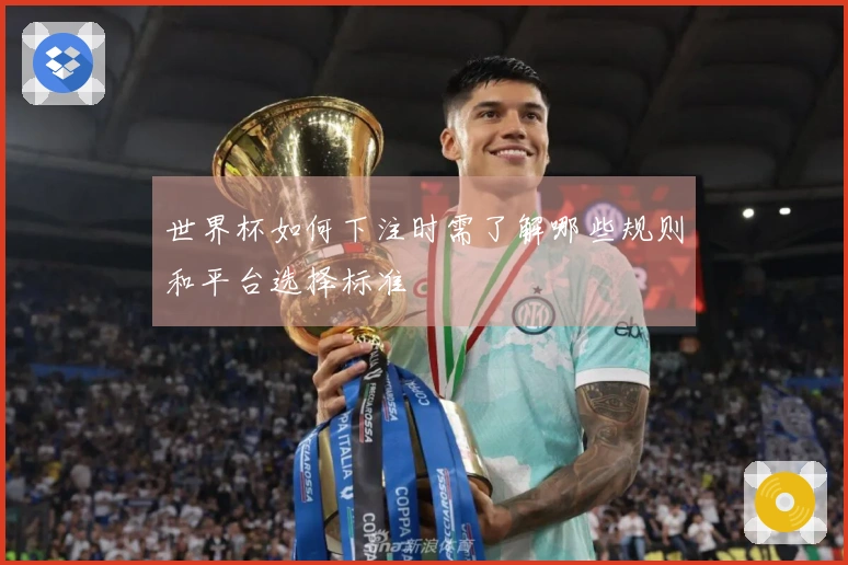 世界杯如何下注时需了解哪些规则和平台选择标准