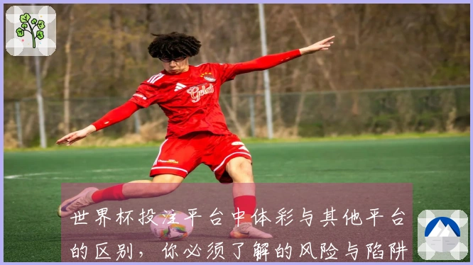 世界杯投注平台中体彩与其他平台的区别，你必须了解的风险与陷阱