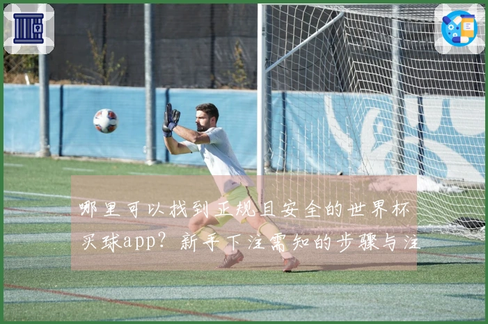 哪里可以找到正规且安全的世界杯买球app？新手下注需知的步骤与注意事项