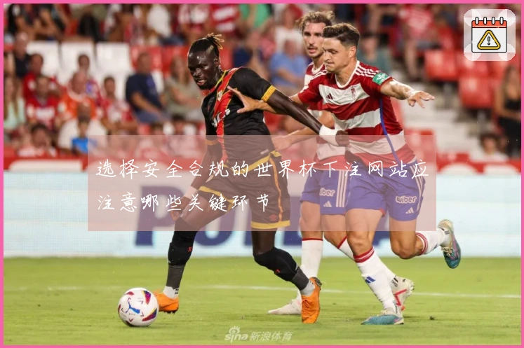 选择安全合规的世界杯下注网站应注意哪些关键环节